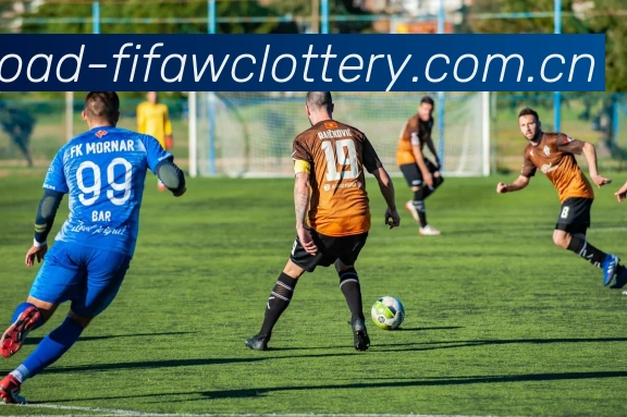 FIFA官方竞猜数据授权